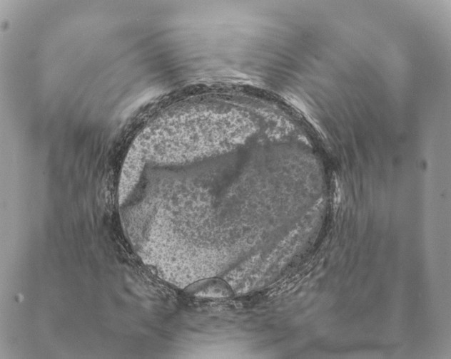 X0000088891063200706291434