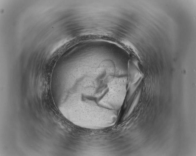 X0000088891064200706291434