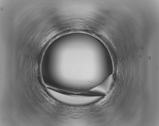 X0000088891065200706291434