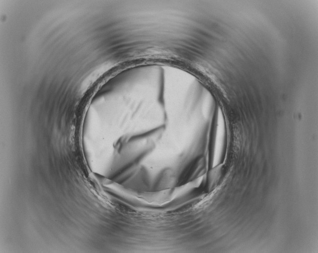 X0000088891066200706291434