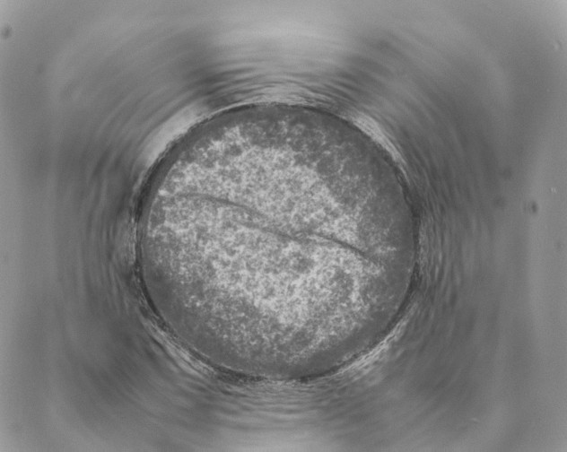 X0000088891067200706291434