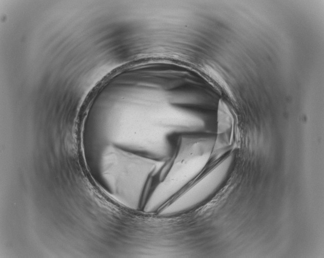 X0000088891068200706291434