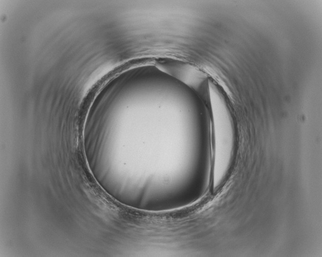 X0000088891069200706291434