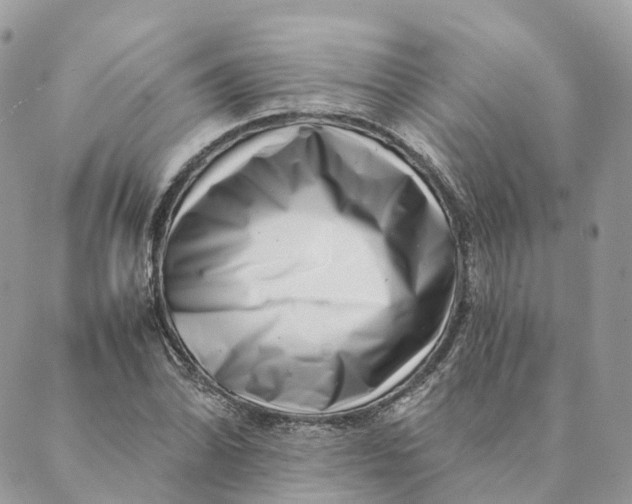 X0000088891070200706291434