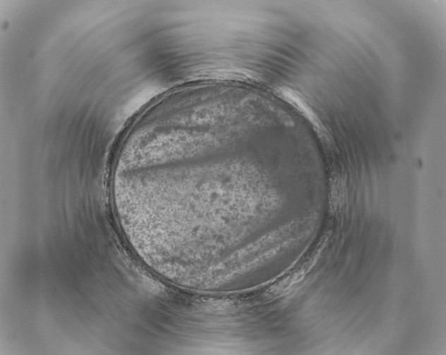 X0000088891071200706291434