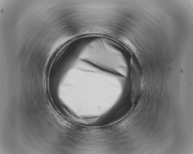 X0000088891072200706291434