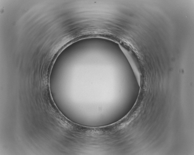 X0000088891073200706291434