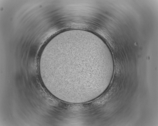 X0000088891074200706291434