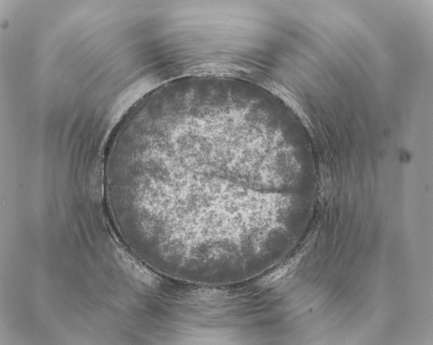 X0000088891075200706291434