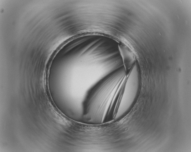 X0000088891076200706291434