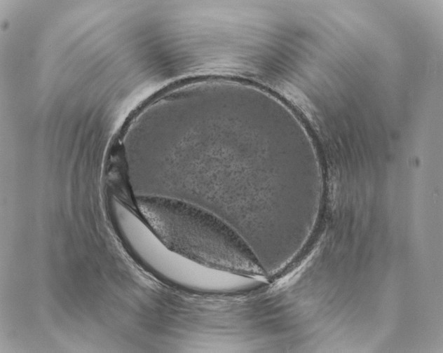 X0000088891077200706291434