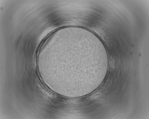 X0000088891078200706291434