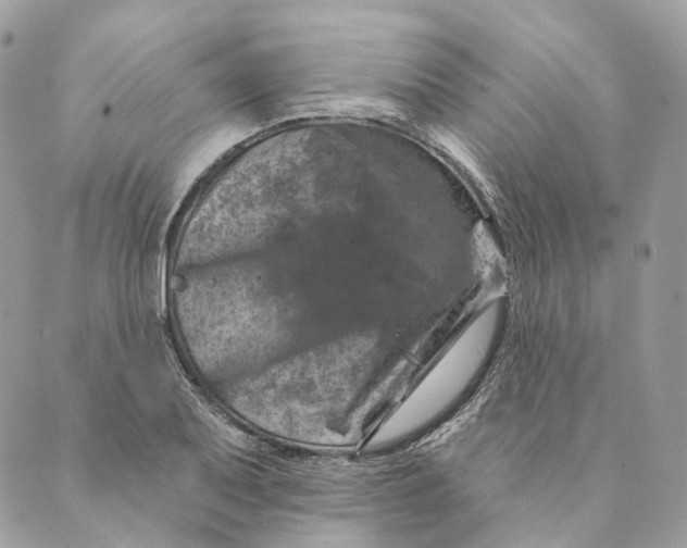 X0000088891079200706291434