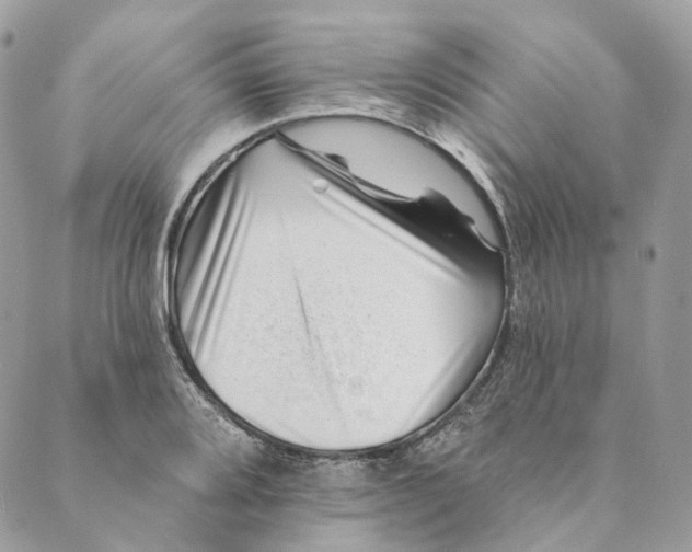 X0000088891080200706291434