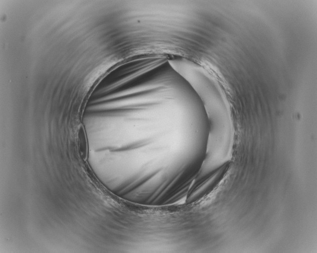 X0000088891081200706291434