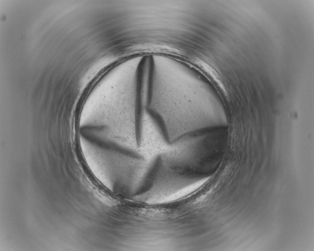 X0000088891082200706291434