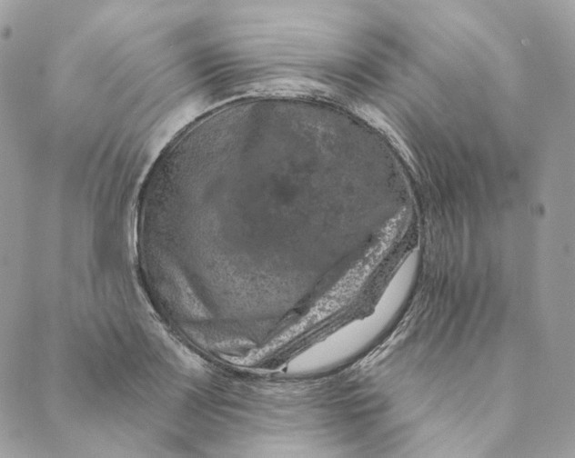 X0000088891083200706291434