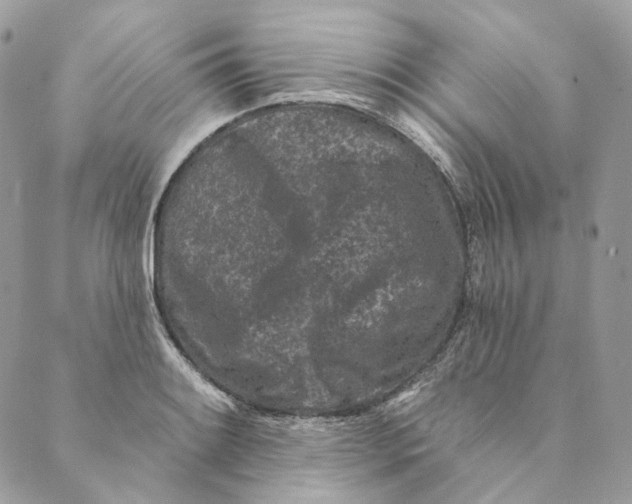 X0000088891084200706291434