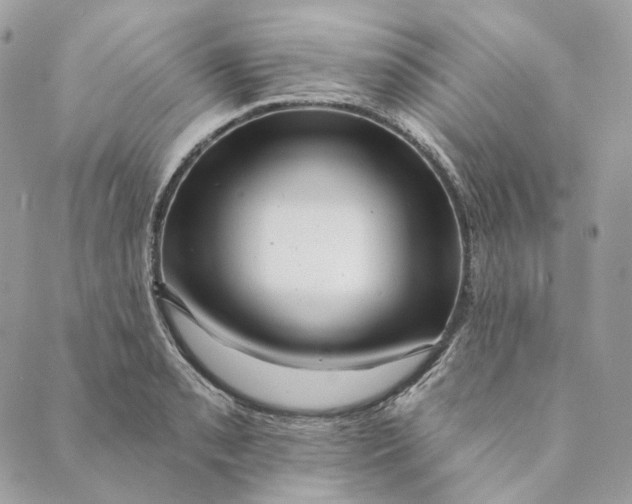 X0000088891085200706291434