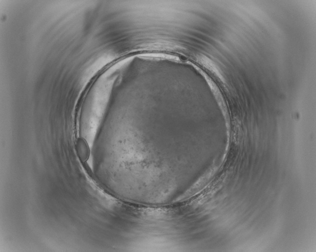 X0000088891087200706291434