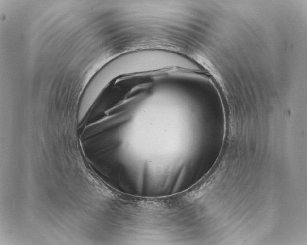 X0000088891089200706291434