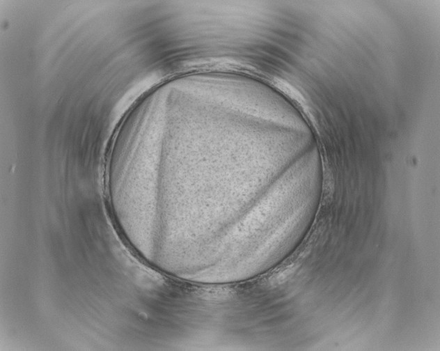 X0000088891090200706291434