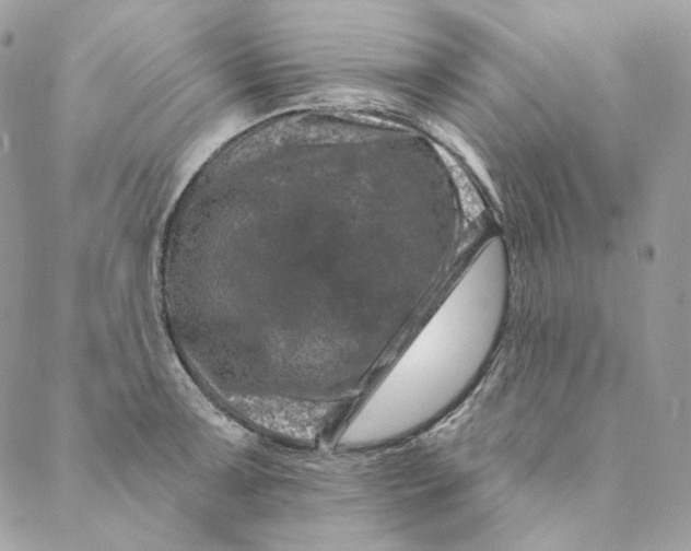 X0000088891091200706291434