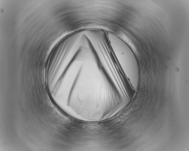 X0000088891092200706291434