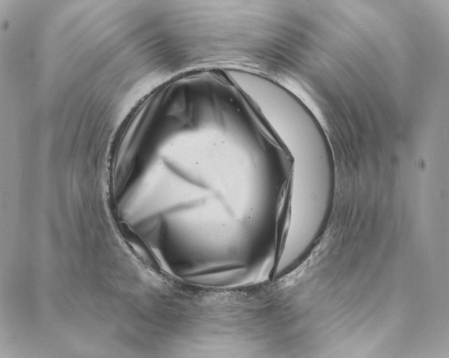 X0000088891093200706291434