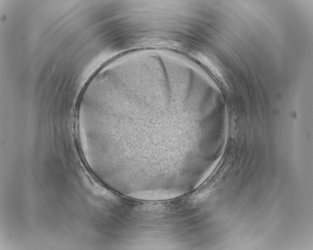 X0000088891094200706291434