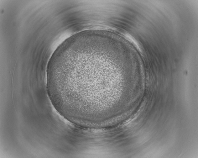 X0000088891095200706291434