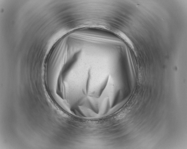 X0000088891096200706291433