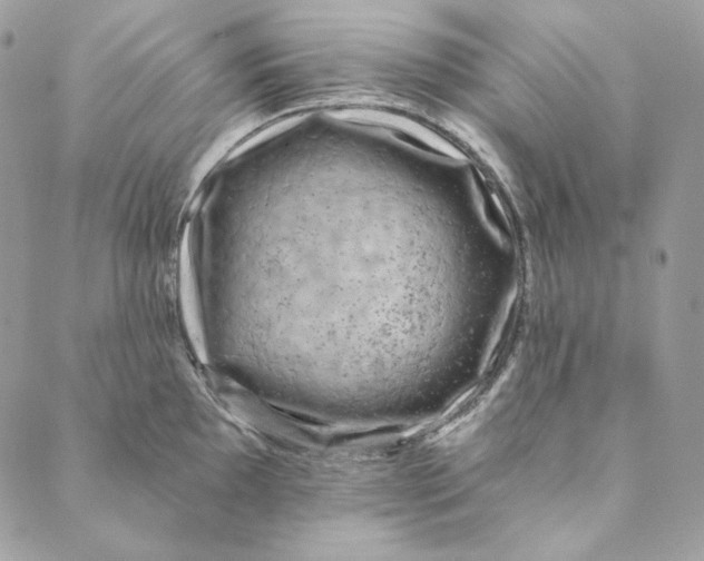 X0000088891097200706291433