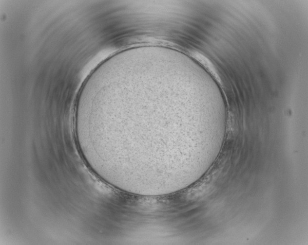 X0000088891098200706291433