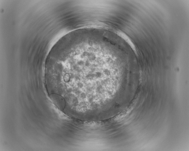 X0000088891099200706291433