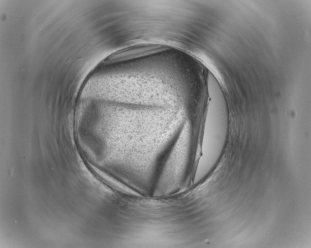 X0000088891100200706291433