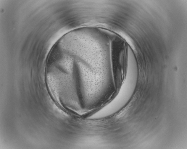 X0000088891102200706291433