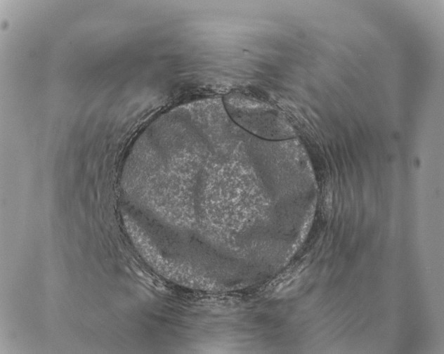 X0000088891105200706291433