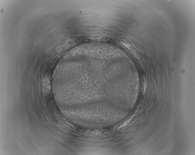 X0000088891106200706291433