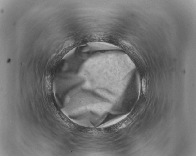 X0000088891107200706291433