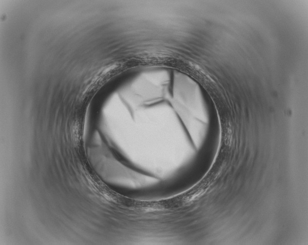 X0000088891108200706291433