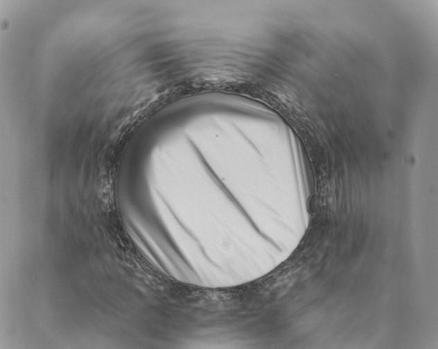 X0000088891109200706291433