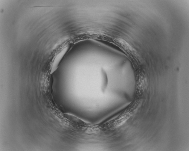 X0000088891110200706291433