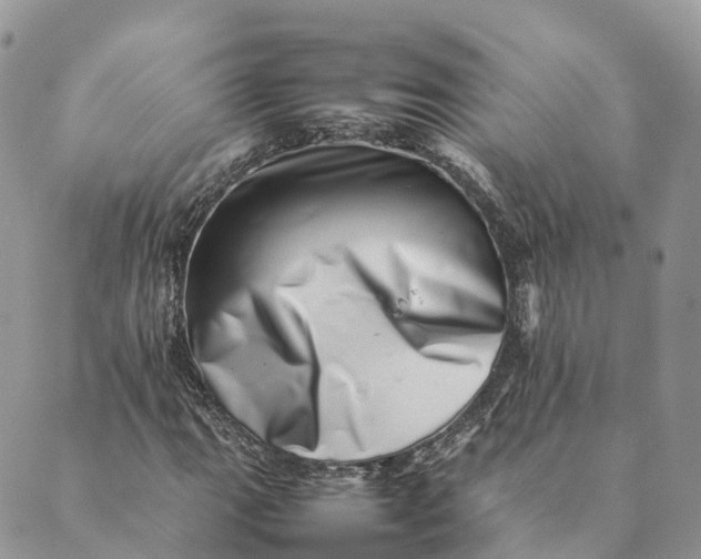 X0000088891111200706291433