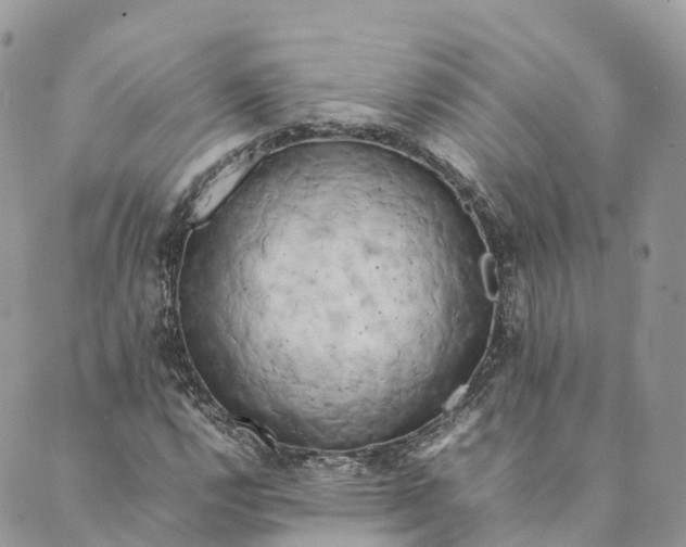 X0000088891112200706291433