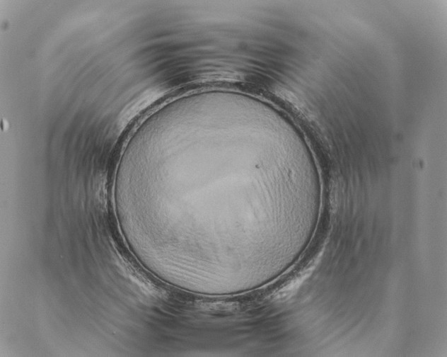 X0000088891113200706291433