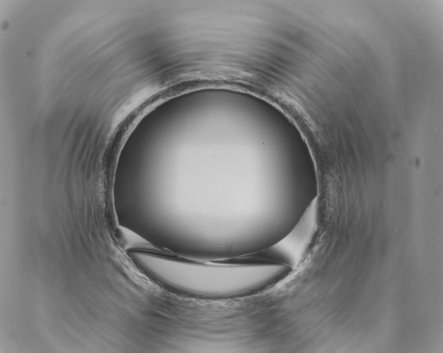 X0000088891114200706291433