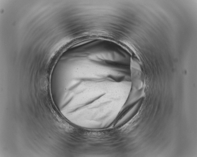 X0000088891115200706291433