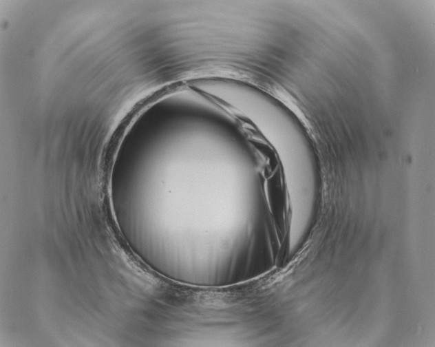 X0000088891116200706291433