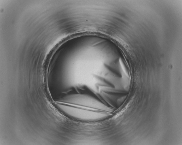 X0000088891118200706291433